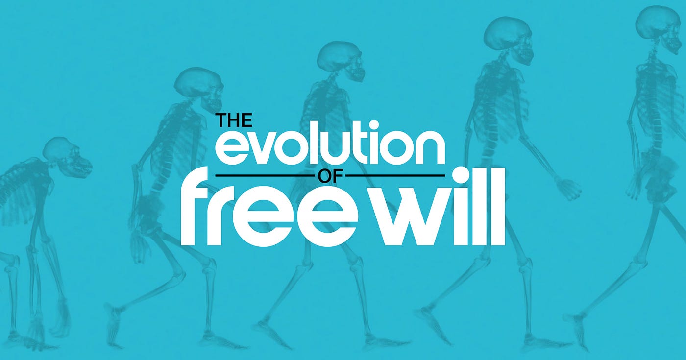 Free evolution 2025