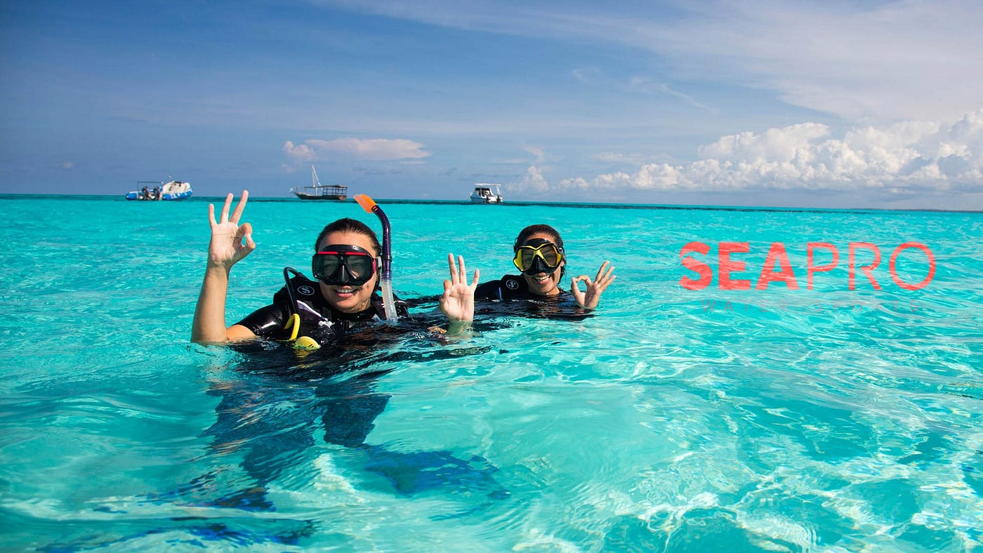 The Best Places to Dive in Punta Cana by Seapro Divers Medium