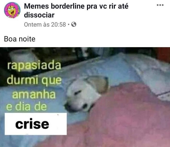 Um cachorro - Memes borderline pra vc rir até dissociar