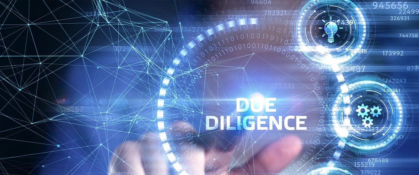 Ingenious Due Diligence Service