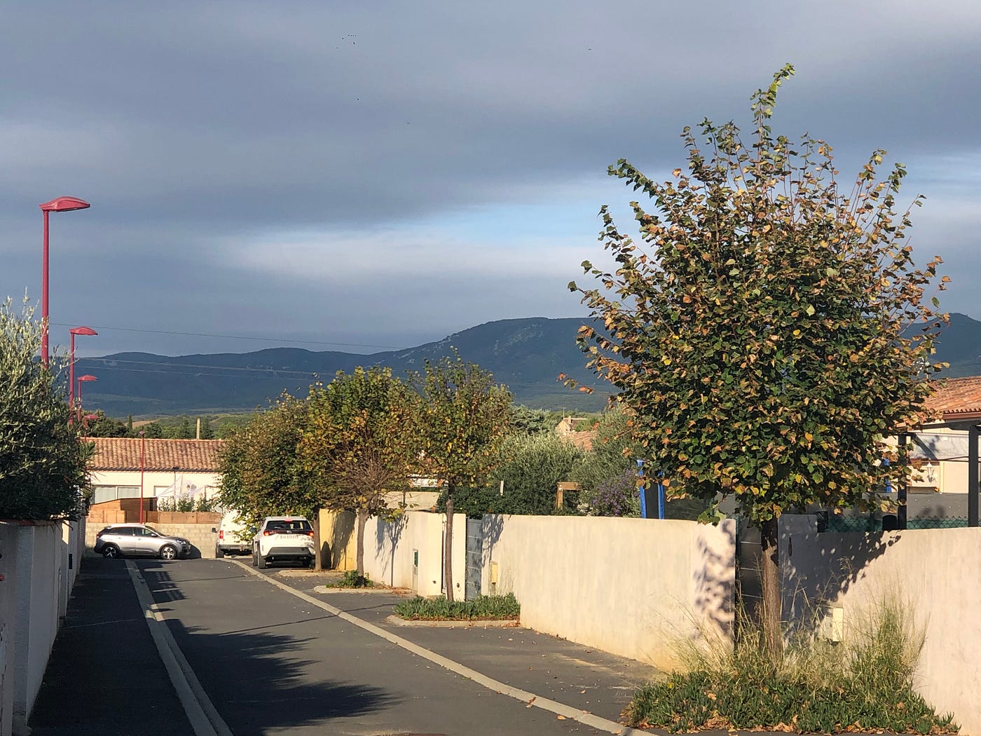 Modern housing tracts built on former vineyards (unless noted, all photos by author)