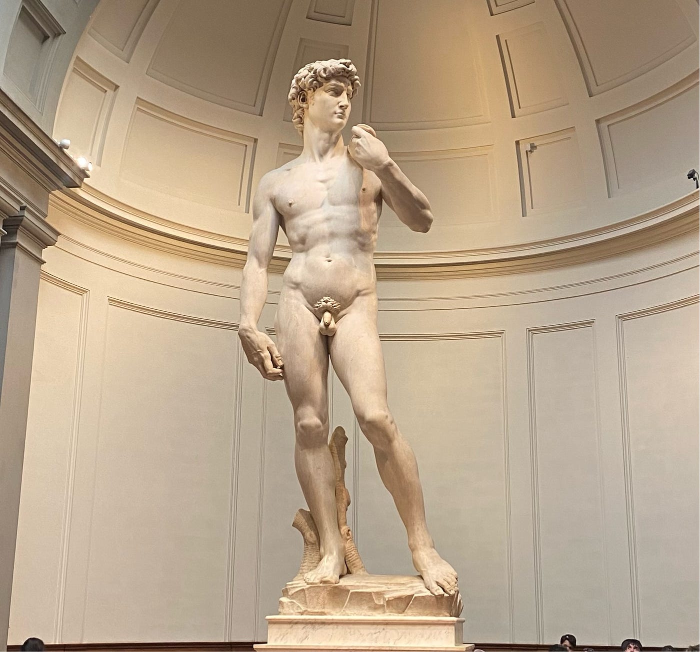 David by Michelangelo- Tony Randgaard