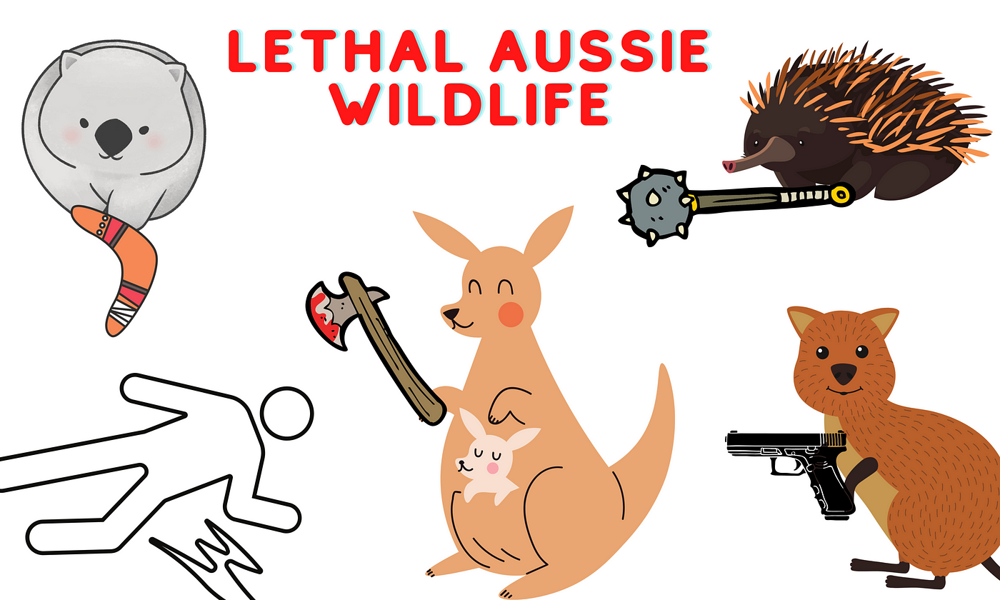 1400px x 840px - Cute Australian Animals Ranked by Lethality | by Alex Cooper | The Critter  Feed | Medium