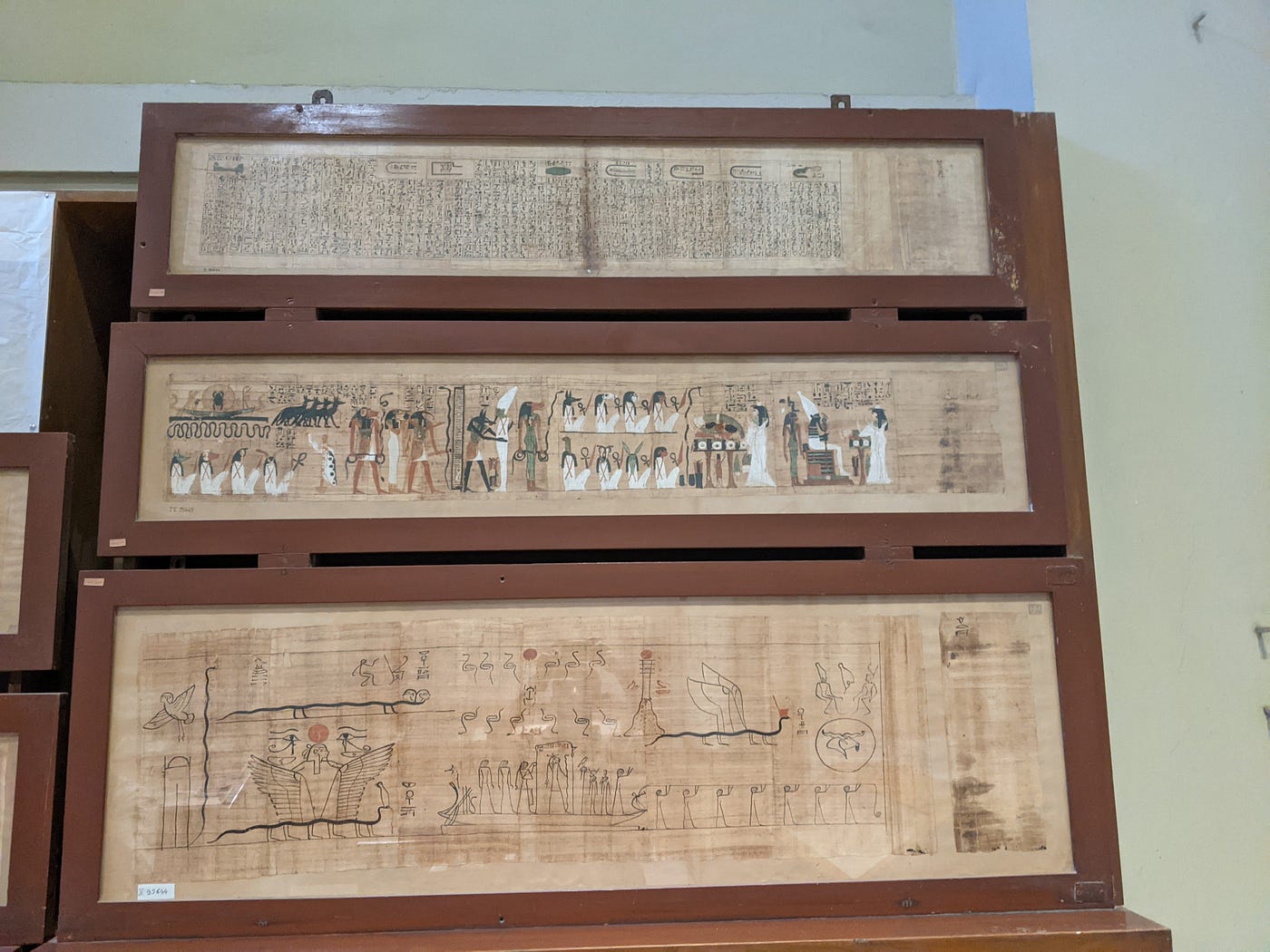 Preserving papyrus: caring for 4000-year-old documents