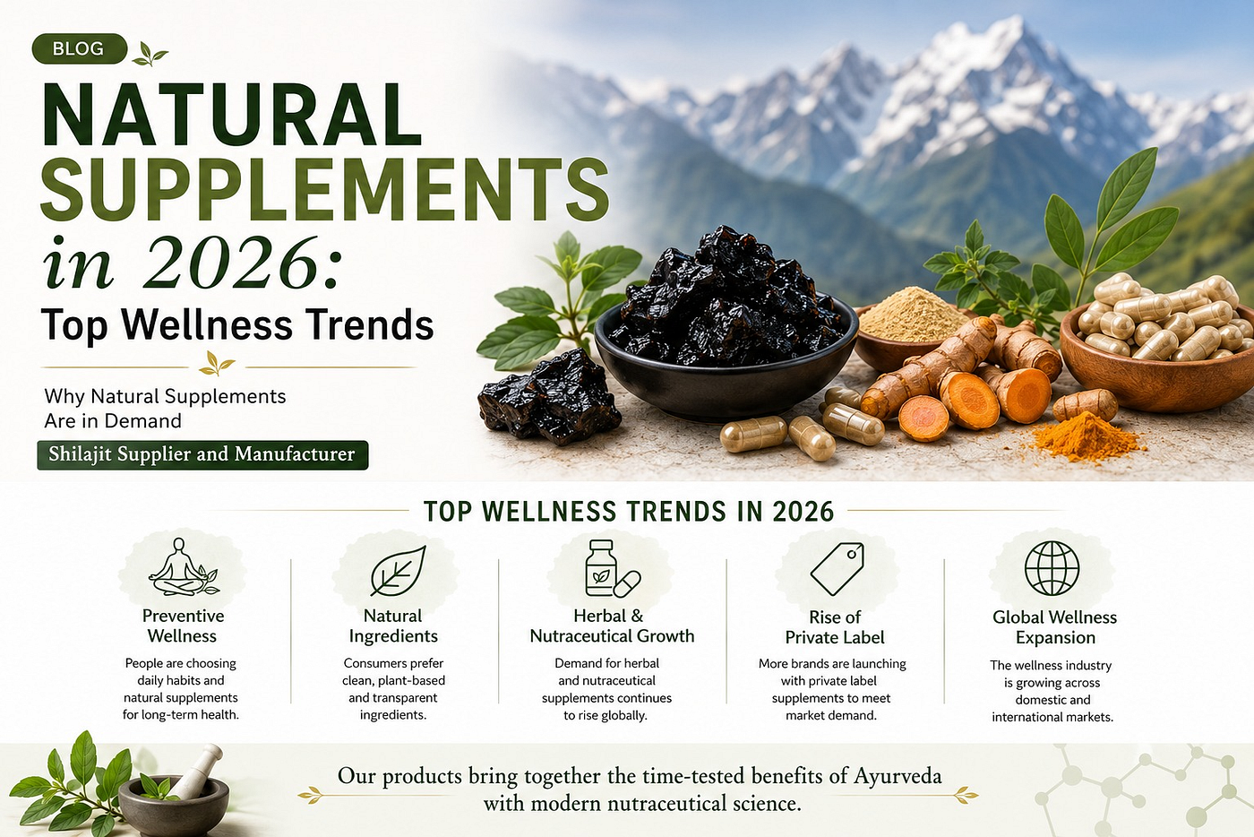 Natural Supplements in 2026: Top Wellness Trends | Shilajit Supplier and Manufacturer