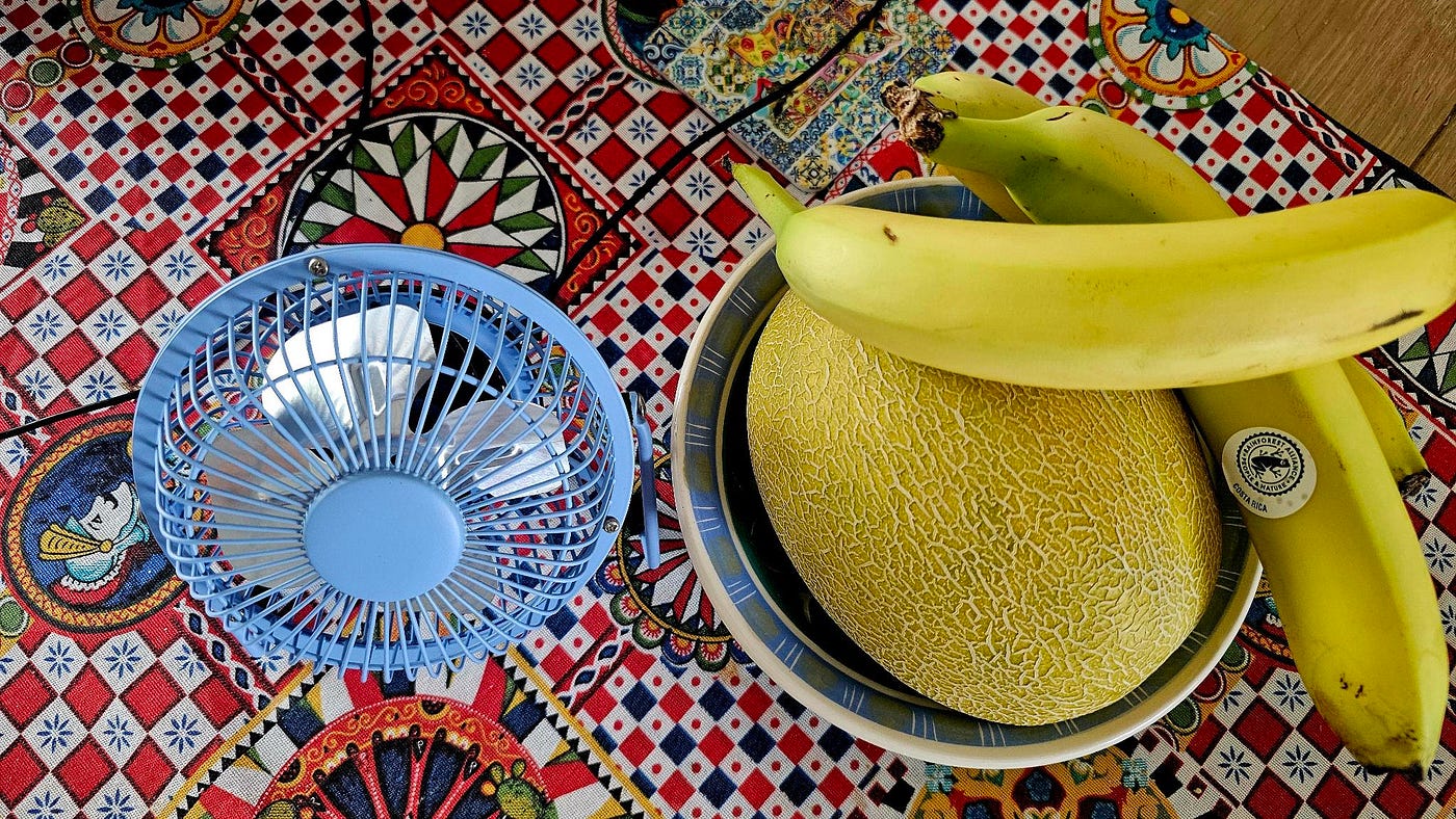 A fan for the desktop I used last week when I was writing and food for the brain. My photo.