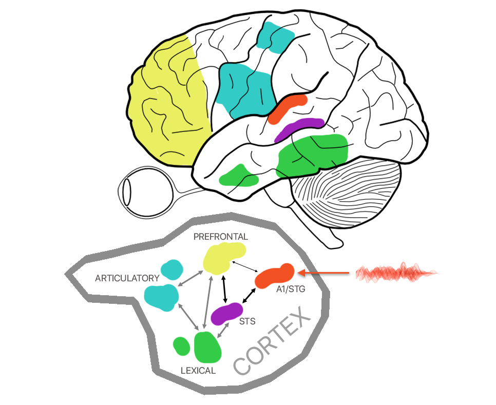 Brain interfacing applications: beyond the obvious | Mindsoft