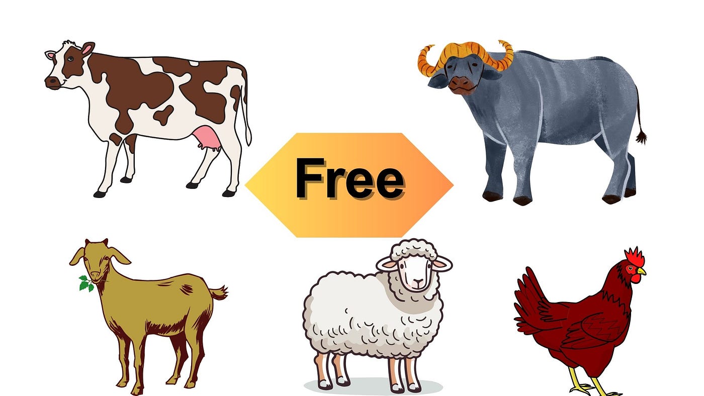 Ehsaas Janwar Program 2025 — Complete Guide