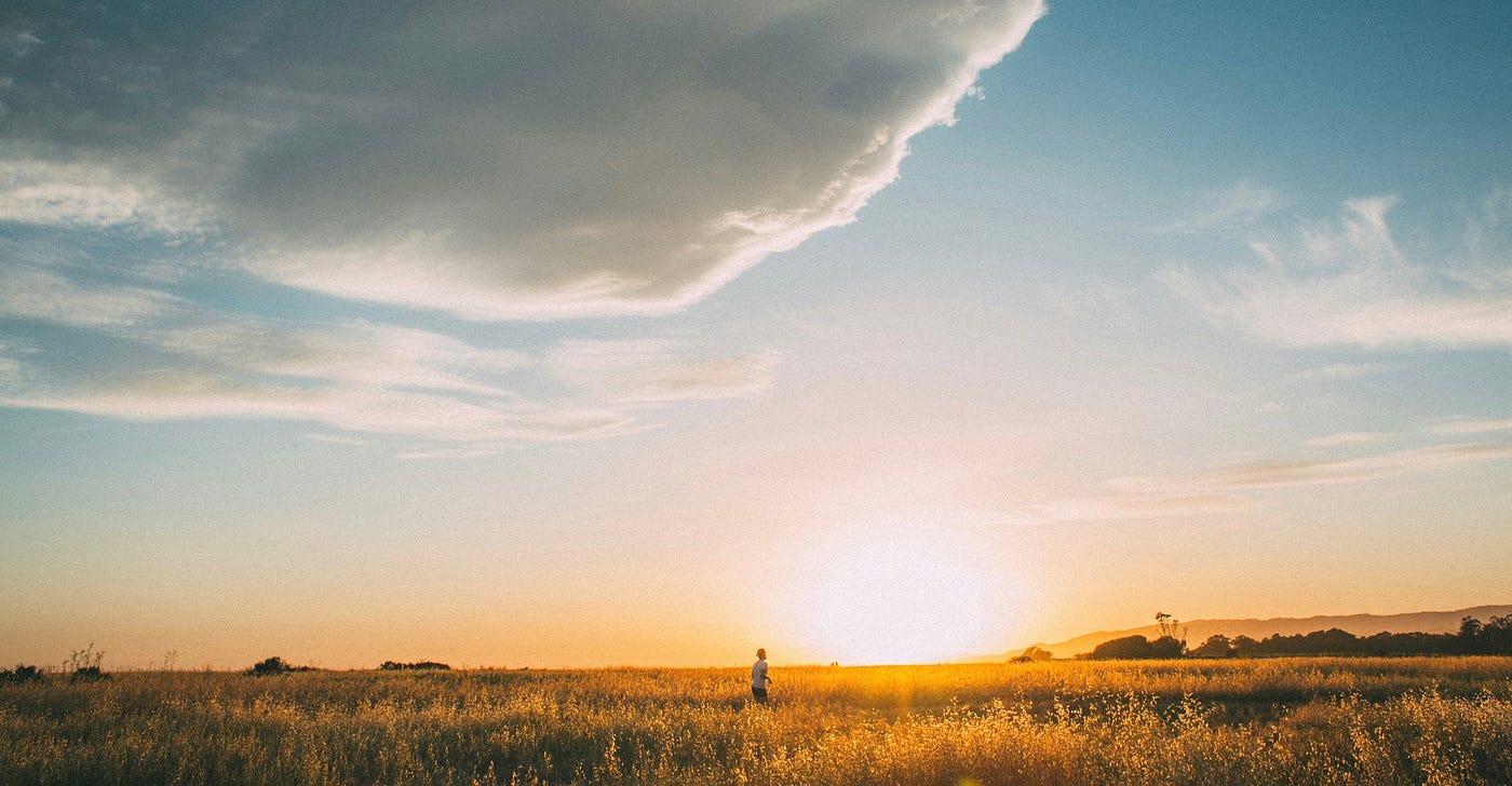 Photo by Oscar Gomez on Unsplash