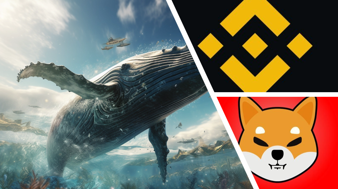 Crypto Whale Removes More Than $750K in Shiba Inu from Binance | by Crypto  Key Media | Medium