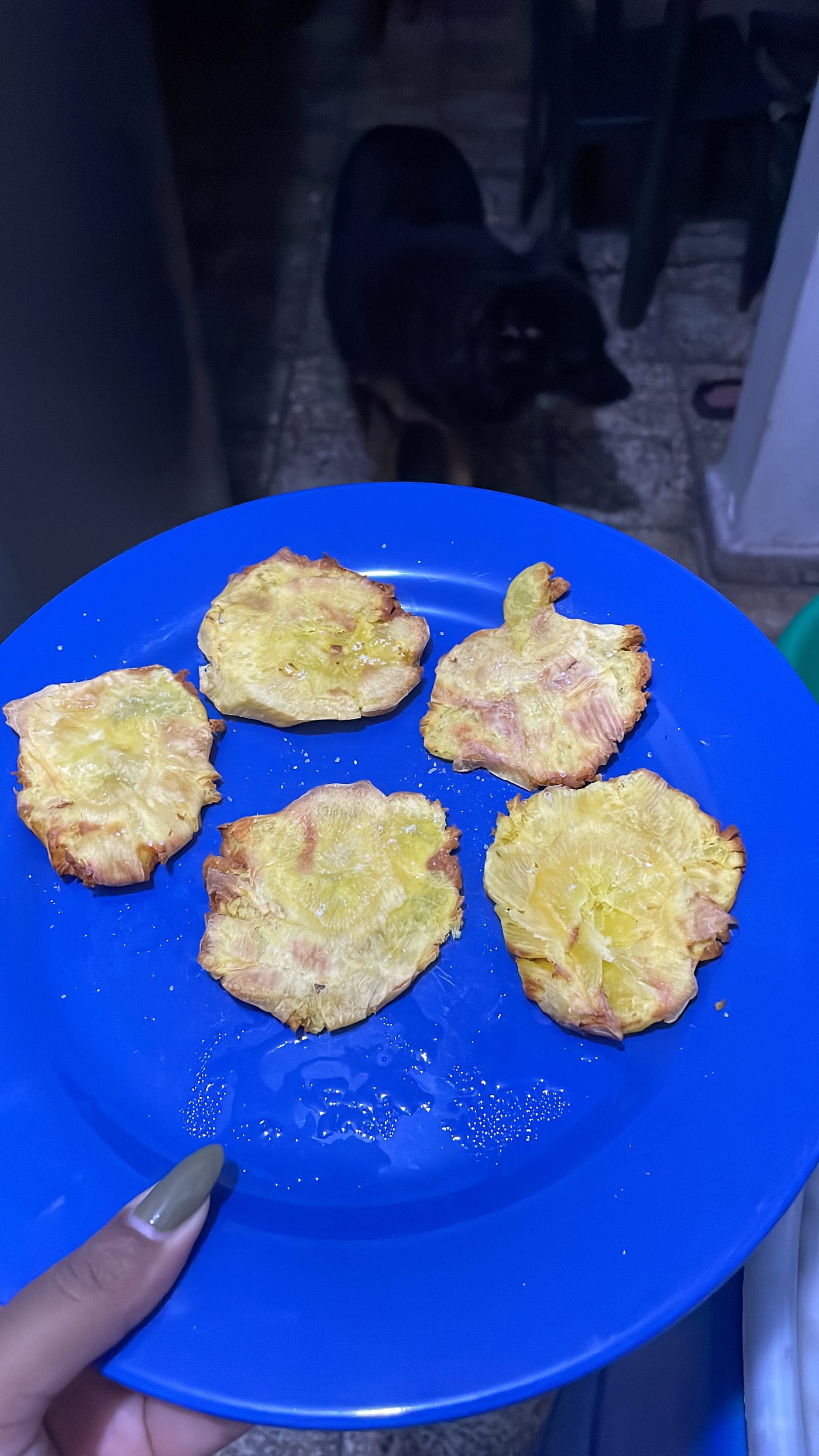 El secreto de los mejores fritos en Air Fryer