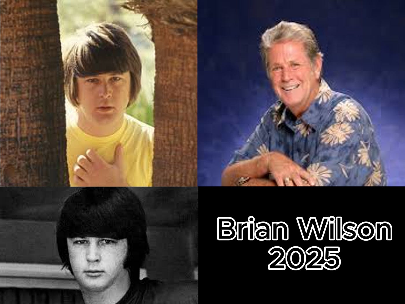 Goodbye to a Genius: Beach Boys Co-Founder Brian Wilson Dies