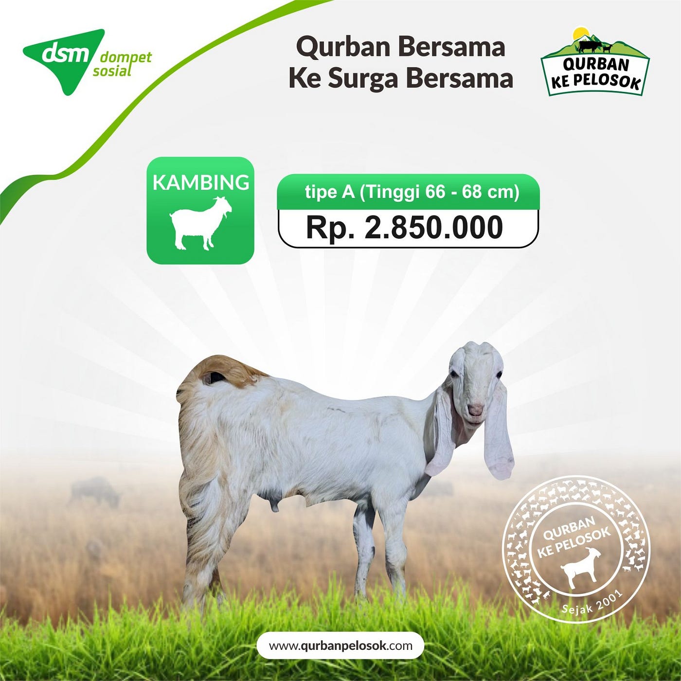 Paling Teramanah, Call 0812–3767–1818, Qurban Dengan Kambing Betina Dompet Sosial