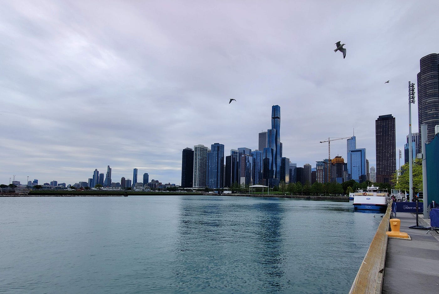 A picture I took on a different trip to Chicago. I like trying to get birds in my photos.