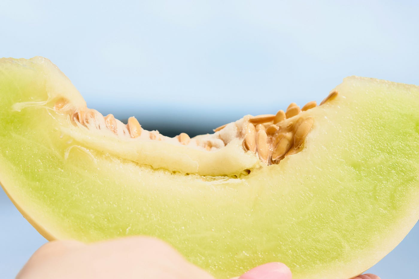 Melon Kangean: Melon Kaya dengan Keunikan dan Rasa yang Tidak ada di Melon Biasa