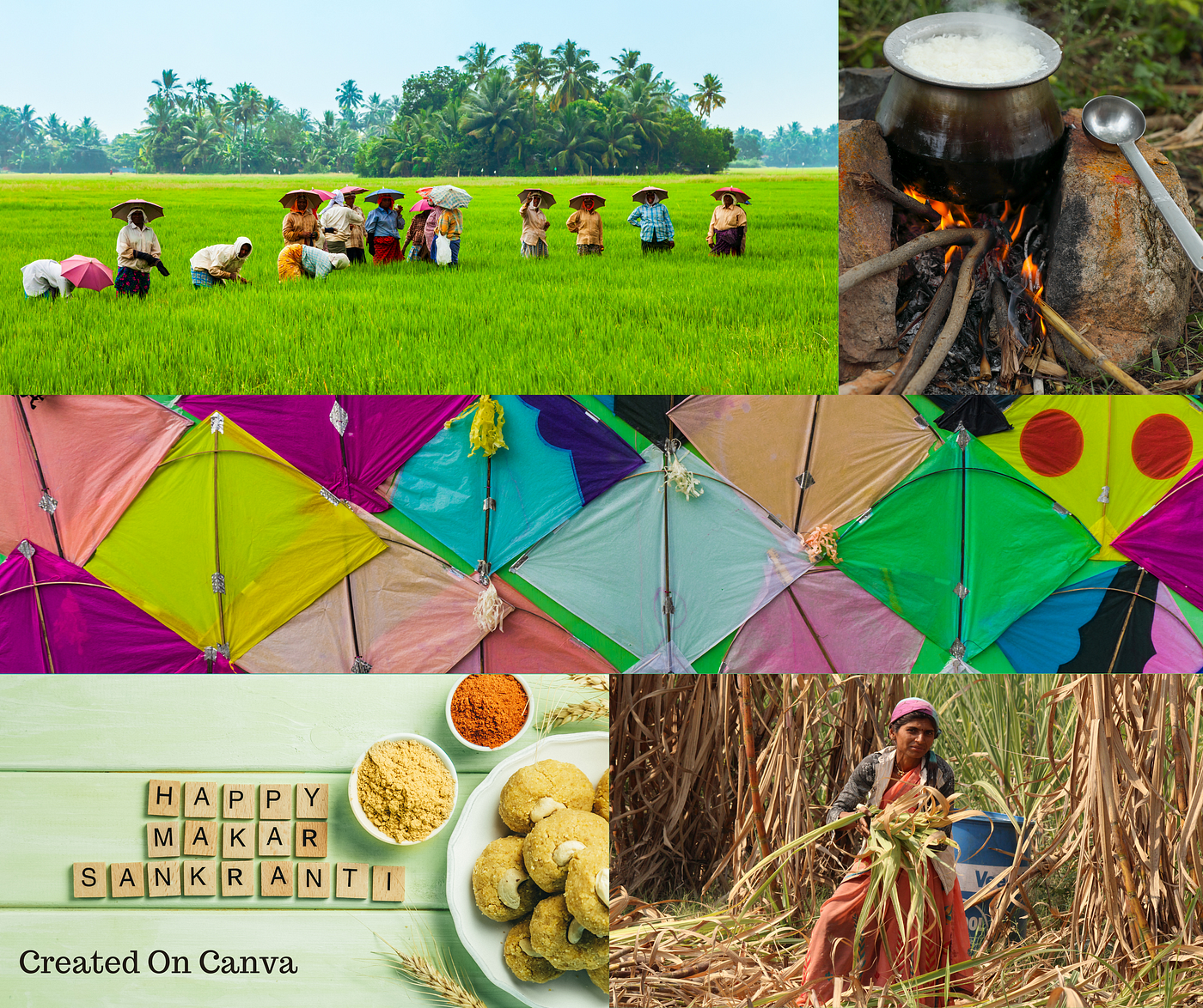 Sankranti festival discount