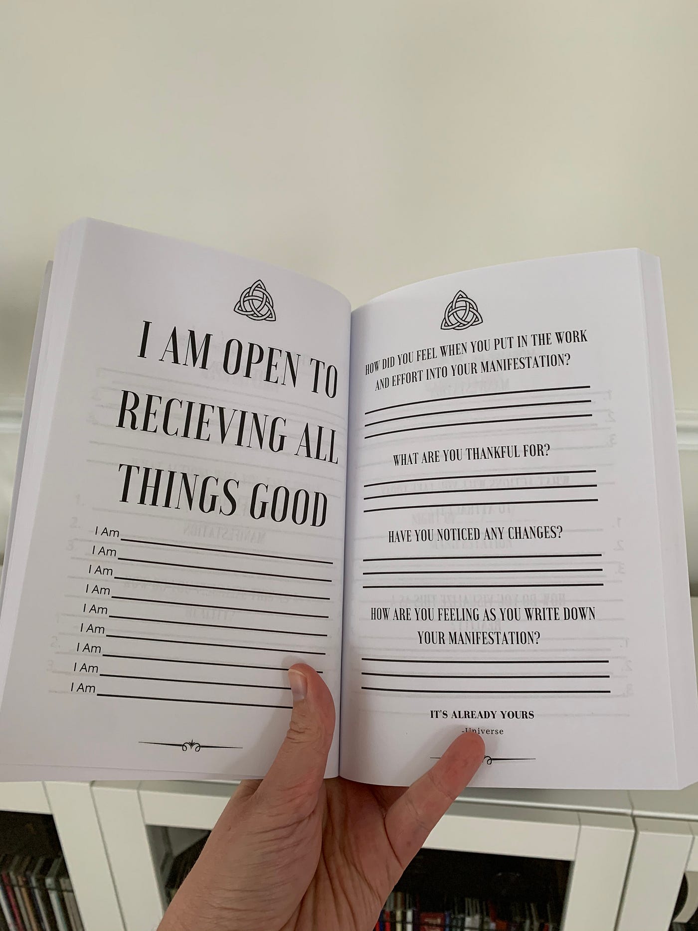 Project 369 Journal Review. Is this really the key to the universe