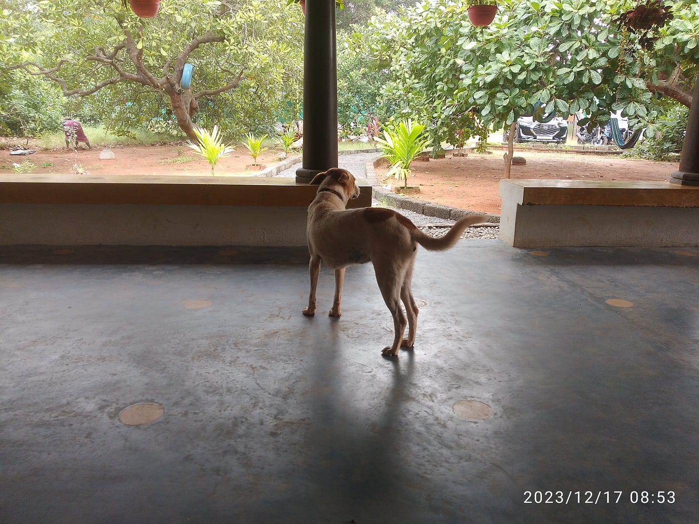 Pondicherry Travel Blog: Chapters 3 and 4