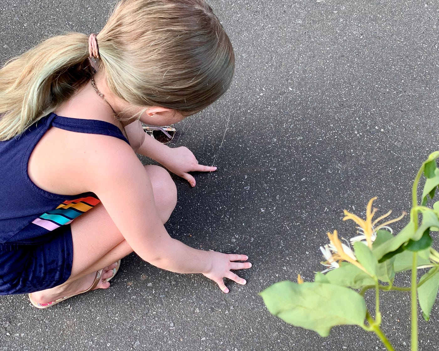 she found a bug