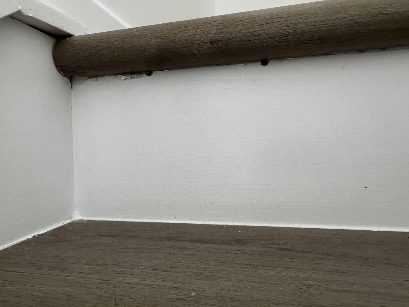 Mysterious Holes in Your New Home’s Stairs? Here’s Why You Should Check for Pests Immediately