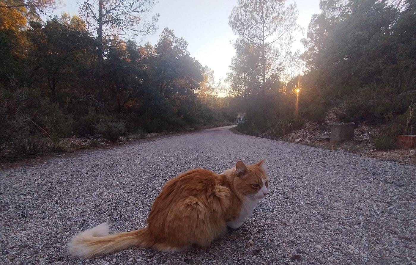 How to Train Your Human to Go Outside