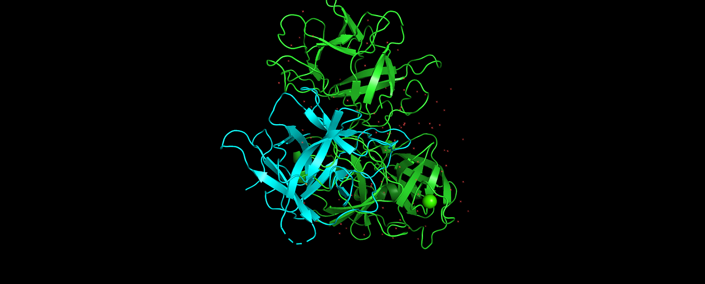 From LLaMA to ProLLaMA, GPT to ProtGPT: Revolutionizing Drug Discovery with Protein Language Models