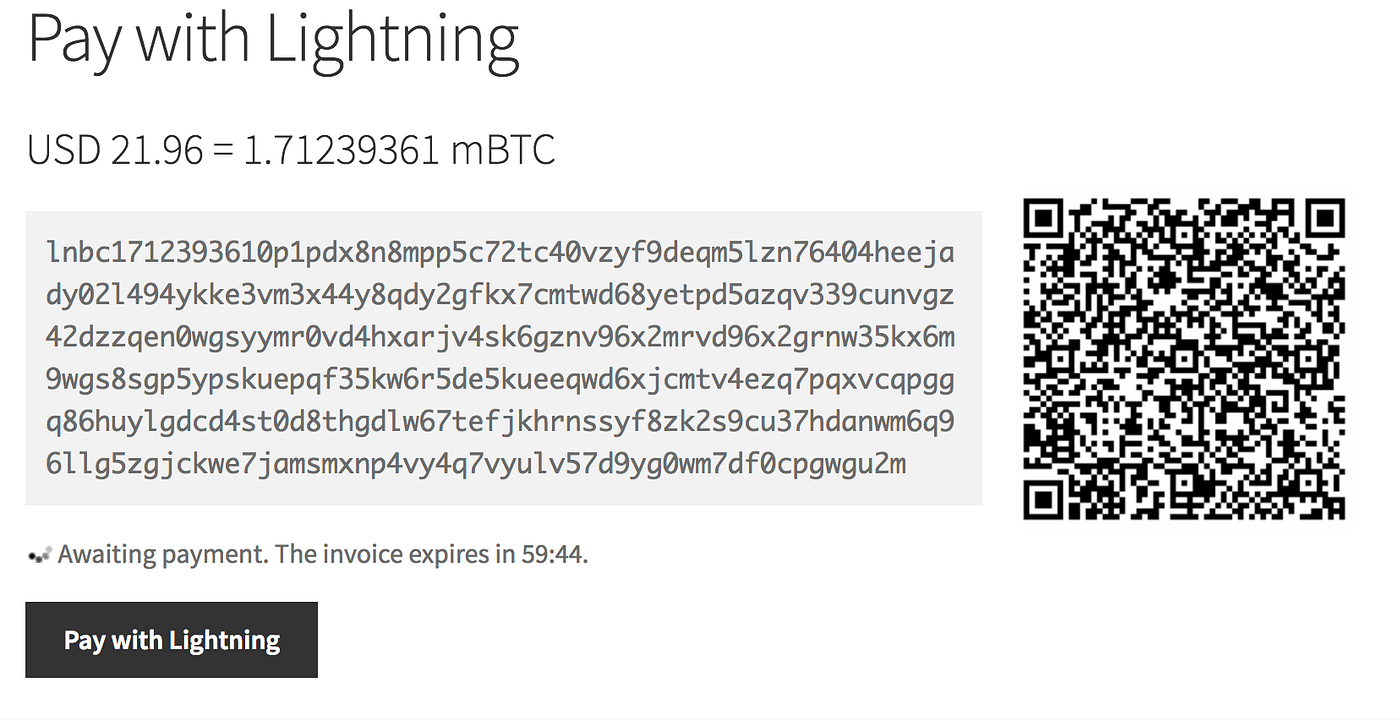 Run your own mainnet Lightning Node | by Doug von Kohorn | Medium