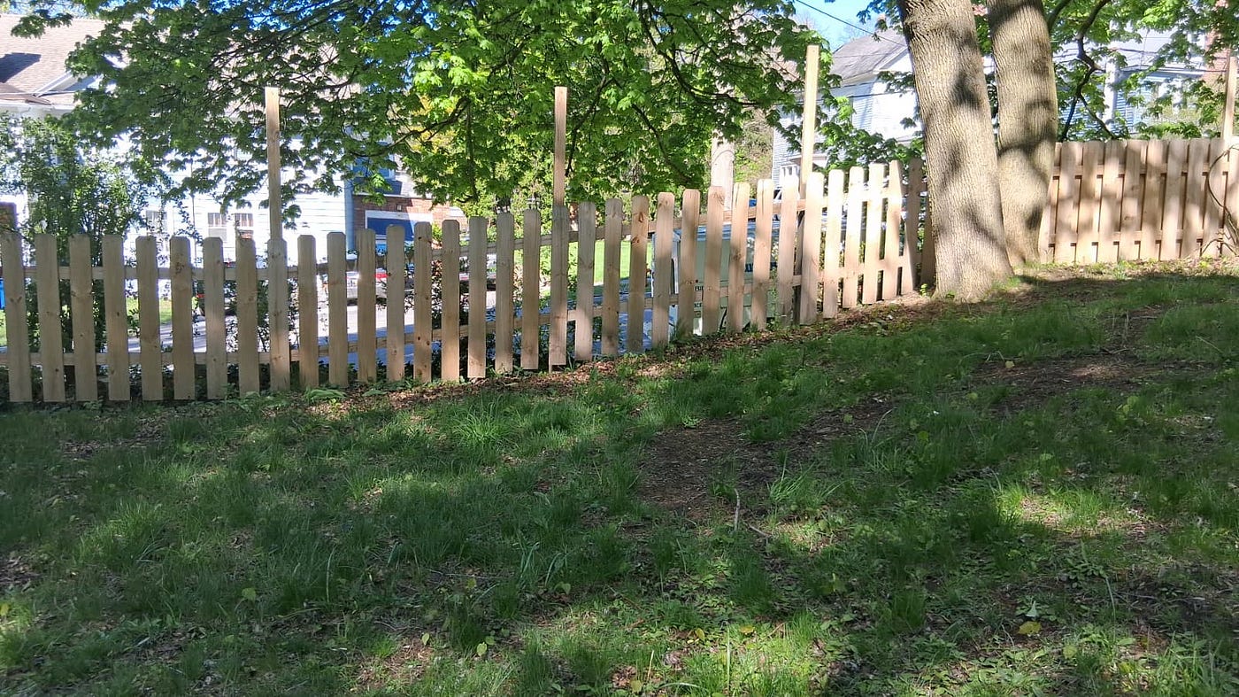 Why Wood Fences Are Still the #1 Choice for Rochester Homeowners