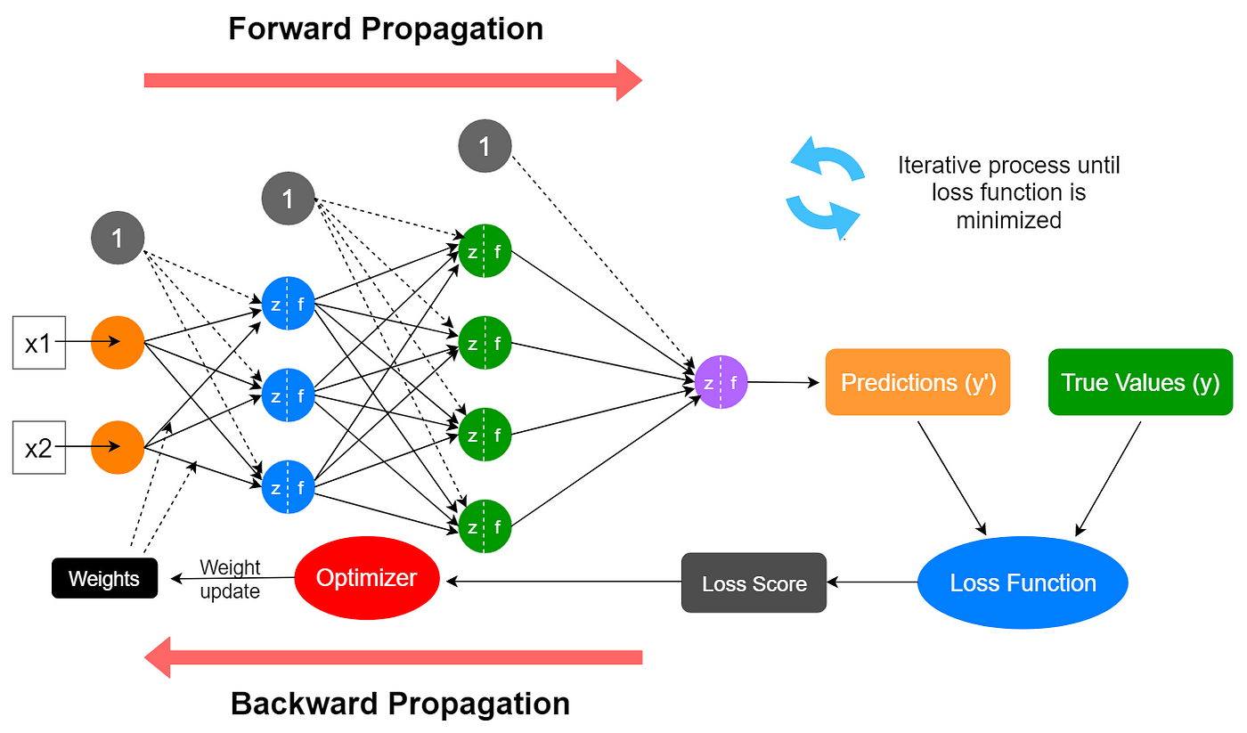 Overview of a Neural Network's Learning Process | by Rukshan Pramoditha |  Data Science 365 | Medium