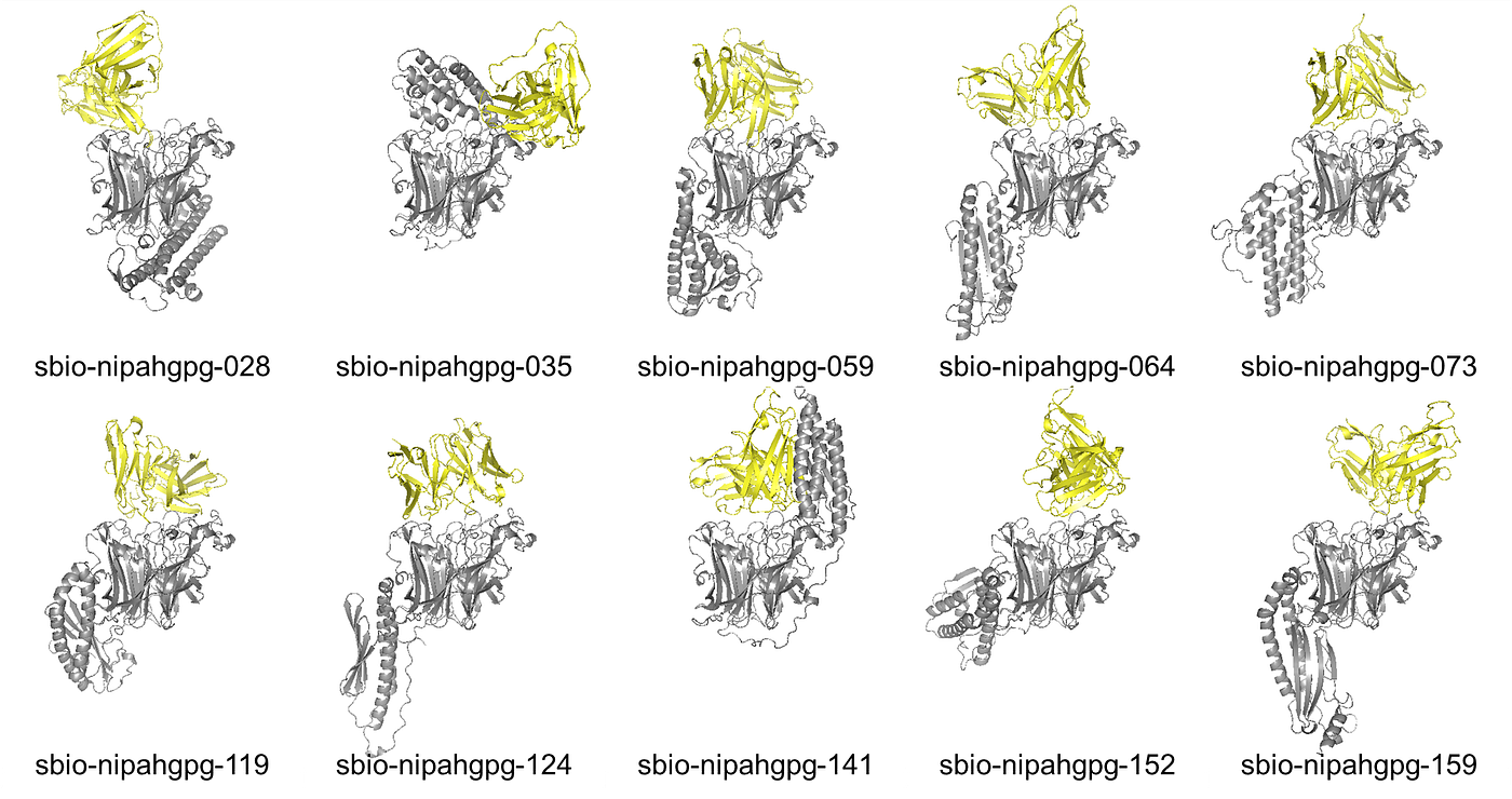 Top 10 candidates by best (lowest) HADDOCK3 score, filtered to those at the desire epitope.
