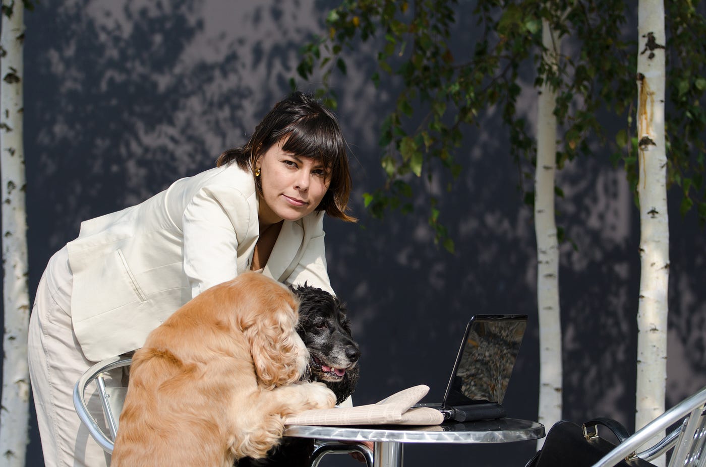 Amy Spicer Chicago: Combining Leadership, Care, and Excellence in Pet Services