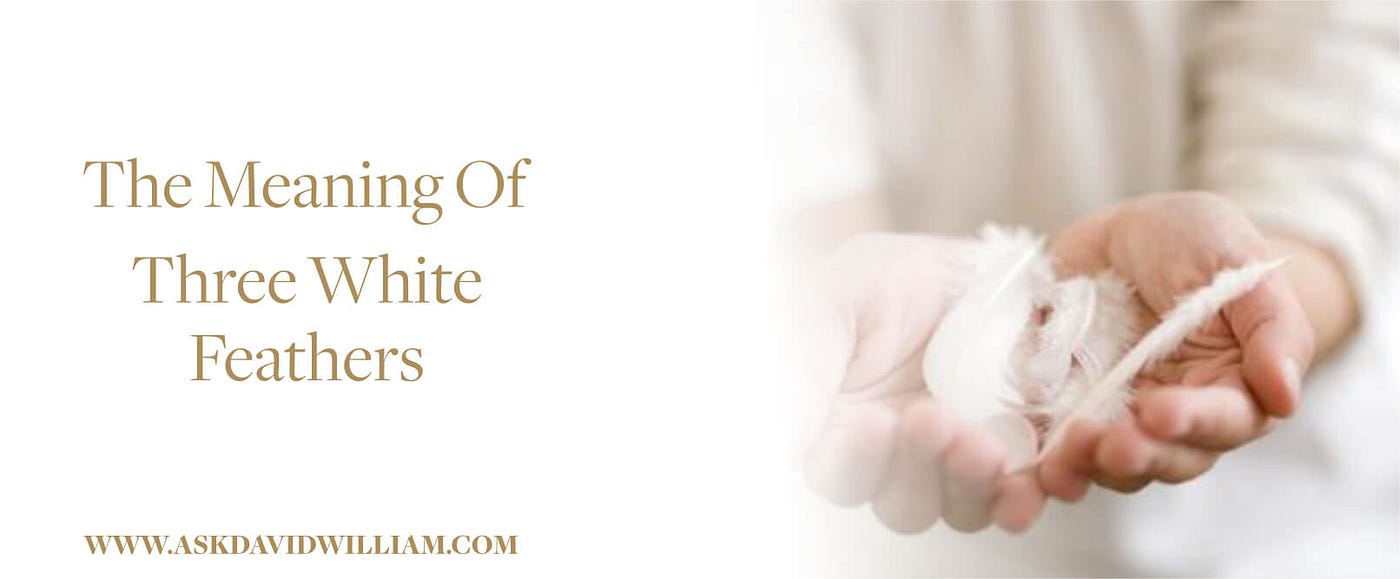 A White Feather Meaning — David William Psychic Medium