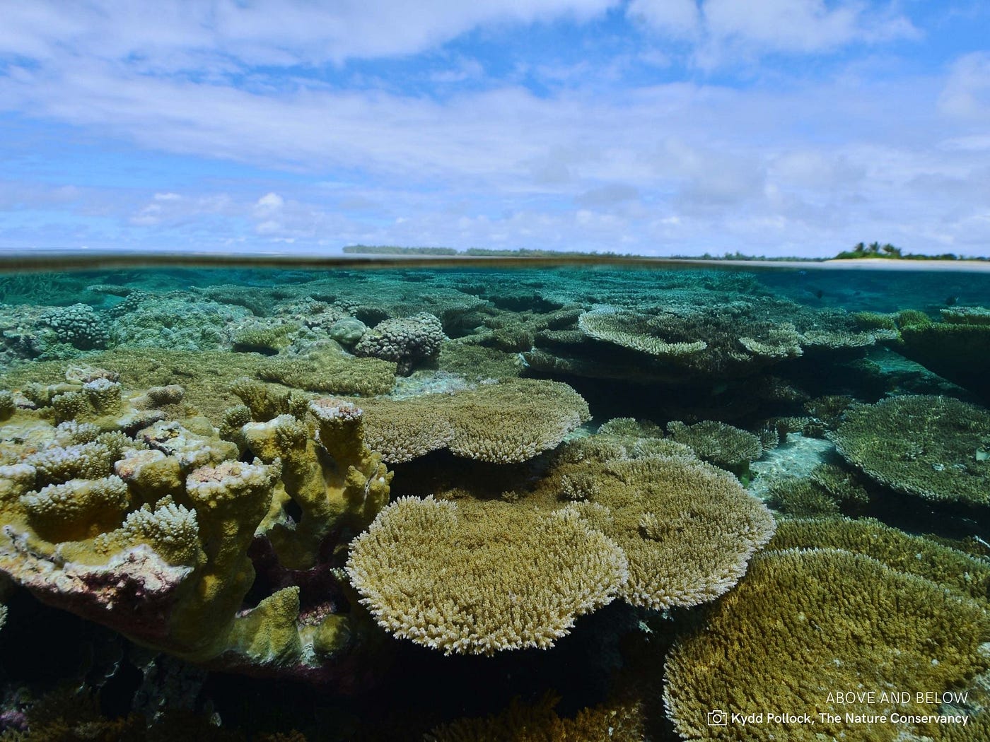 Pacific Remote Islands National Marine Sanctuary provides