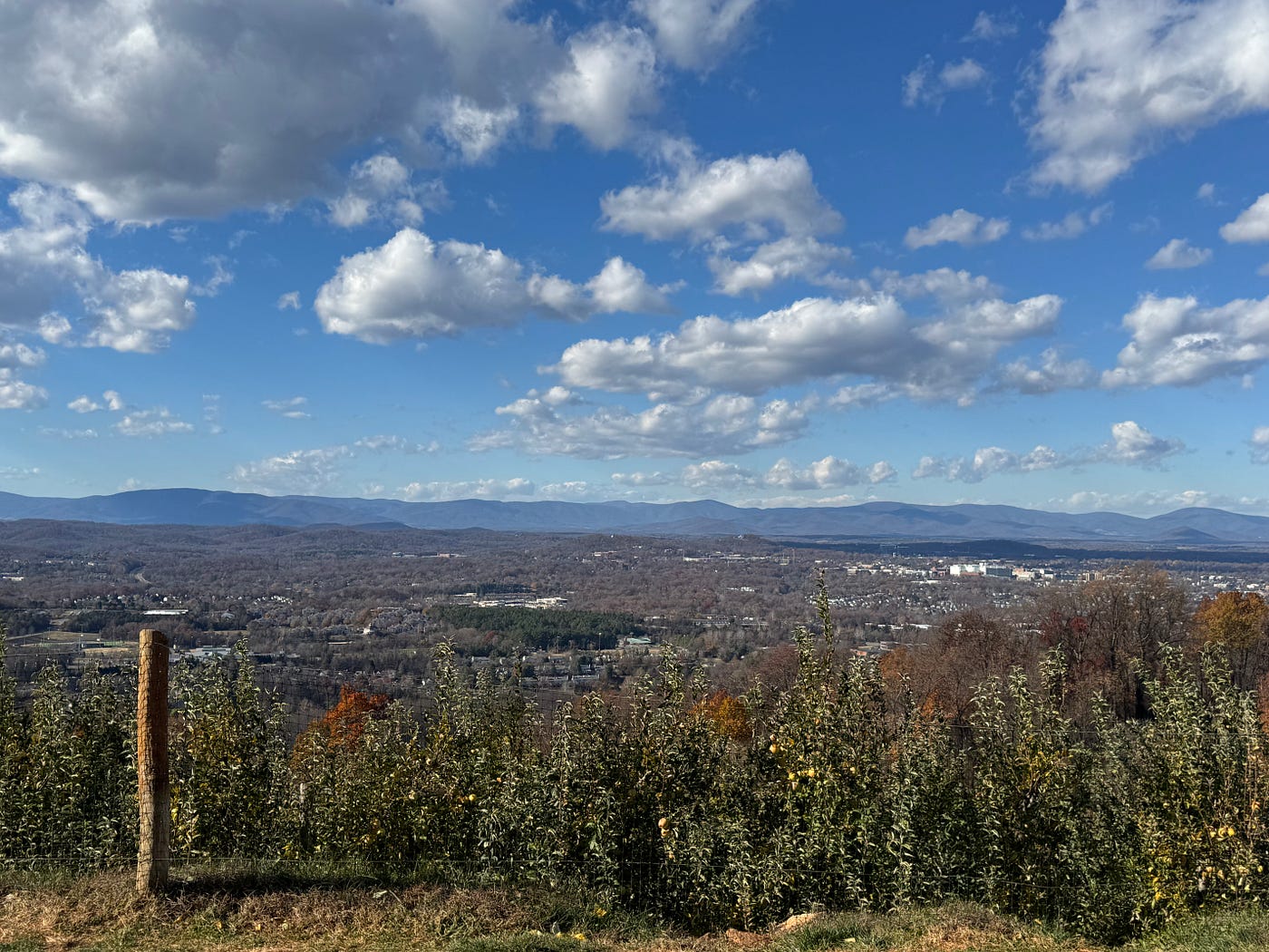 Carter Mountain Views