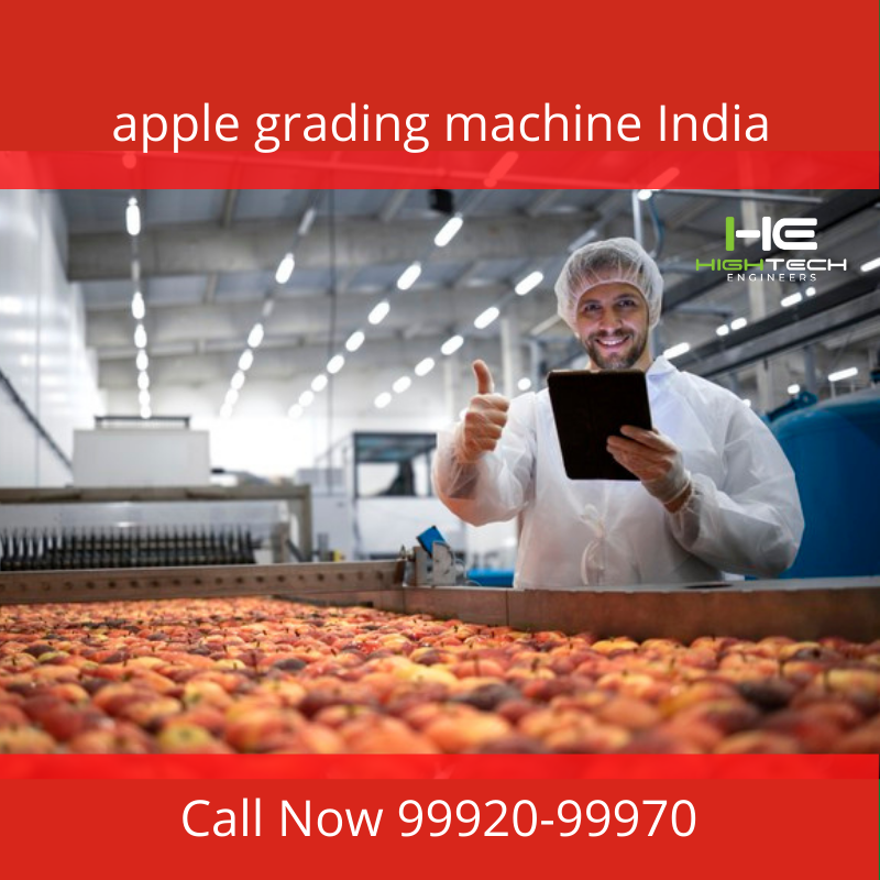 apple grading machine