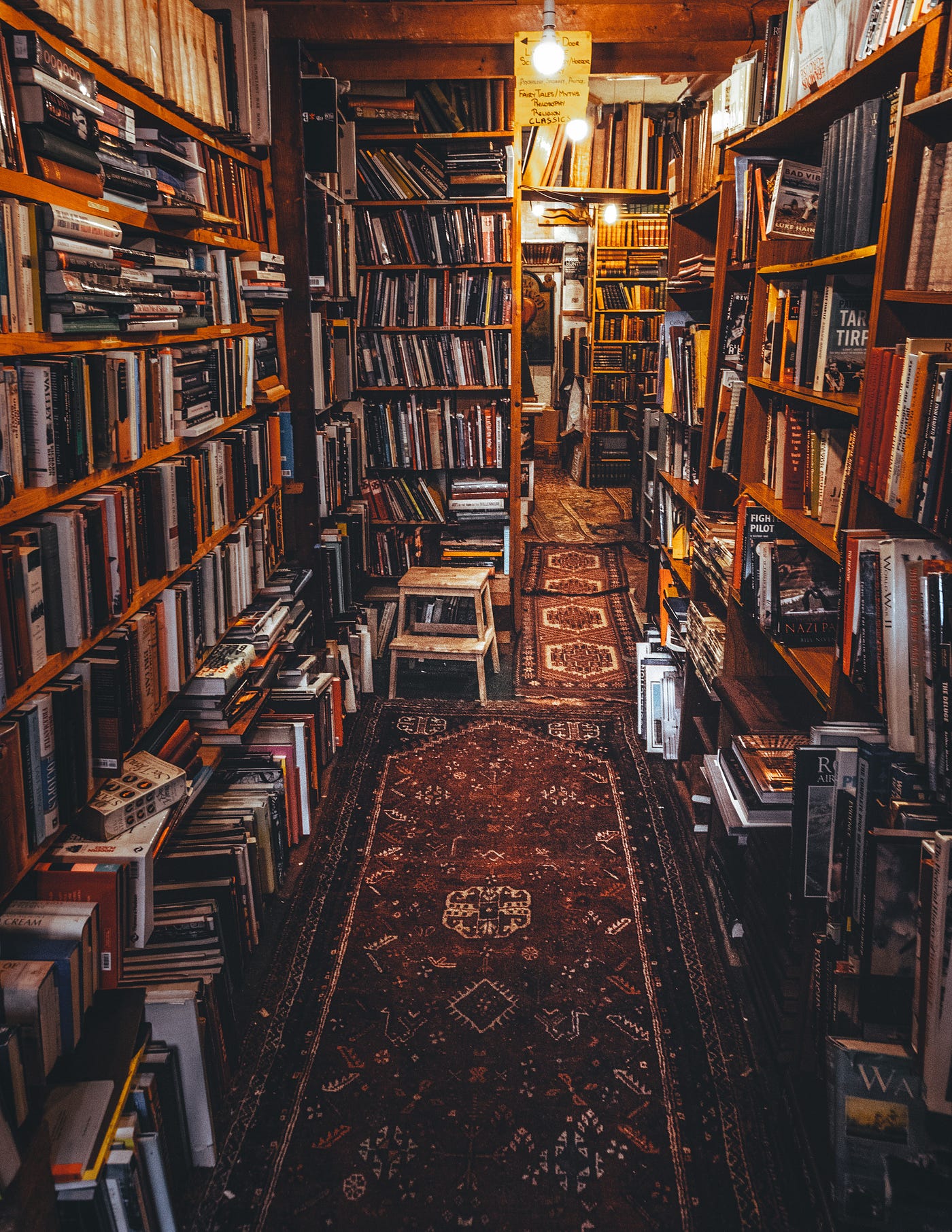 The Allure of a Library. There is something enchanting about a… | by Robert  Sedam, DVM | Medium