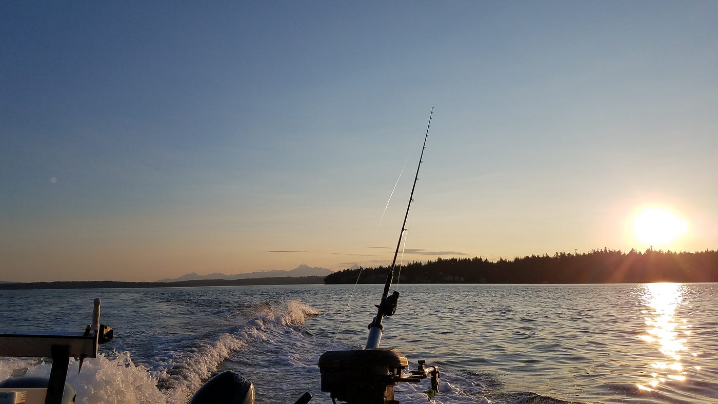 Your 2023–2024 Washington salmon fishing planner by The Washington Department of Fish and Wildlife Medium photo