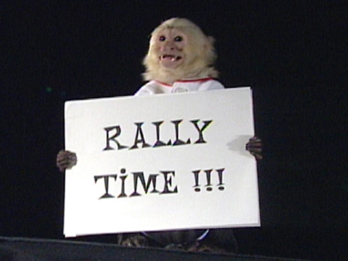 Who Will Rally for the Rally Monkey?, by The Rally Monkey