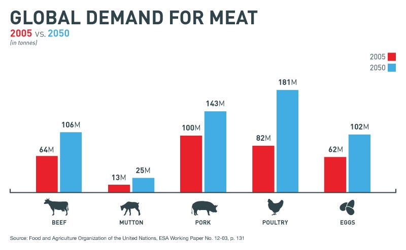 Every Reason to Stop Eating Meat Right Now, by Aleyna Dogan, Climate  Conscious