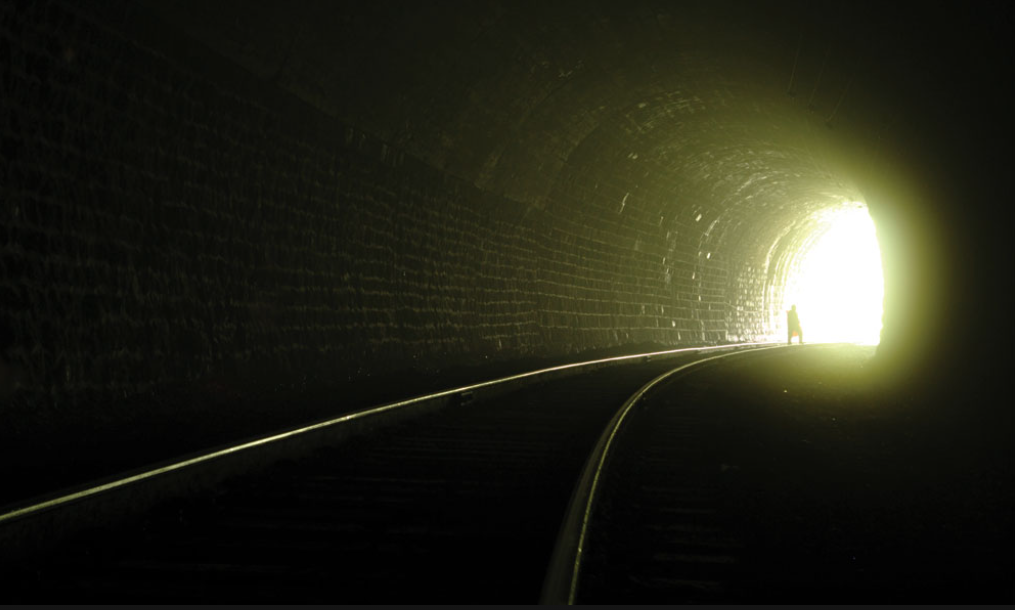 Explainable AI For Ensuring Trust and Transparency in Credit Card Fraud Detection