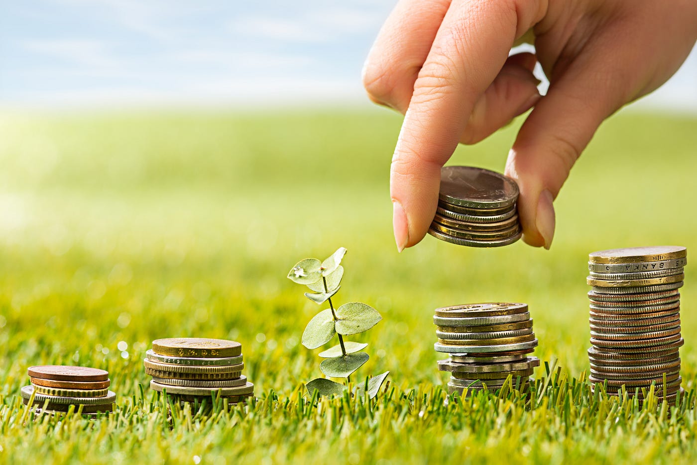 What Happens When an SIP is Stopped in a Mutual Fund Scheme?