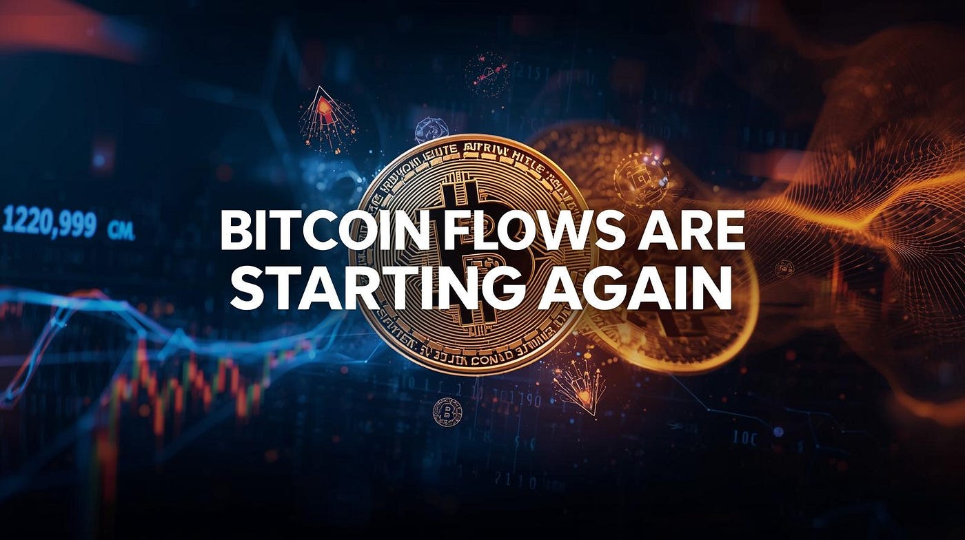 Bitcoin Flows Are Starting Again: What This Means for Your Crypto Portfolio  | by Blend Visions | Coinmonks | Medium