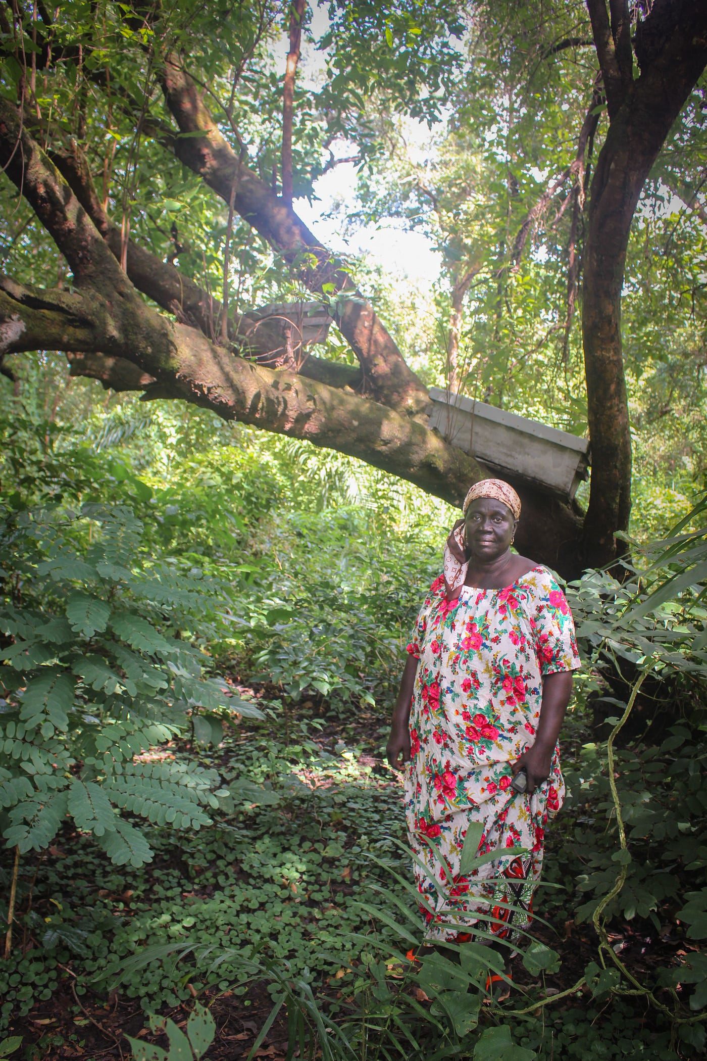New Research Illuminates Women’s Roles in the West African Honey Economy