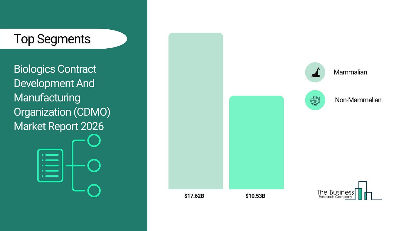 The Biologics Bottleneck: Why Big Pharma is Outsourcing the Future of Medicine