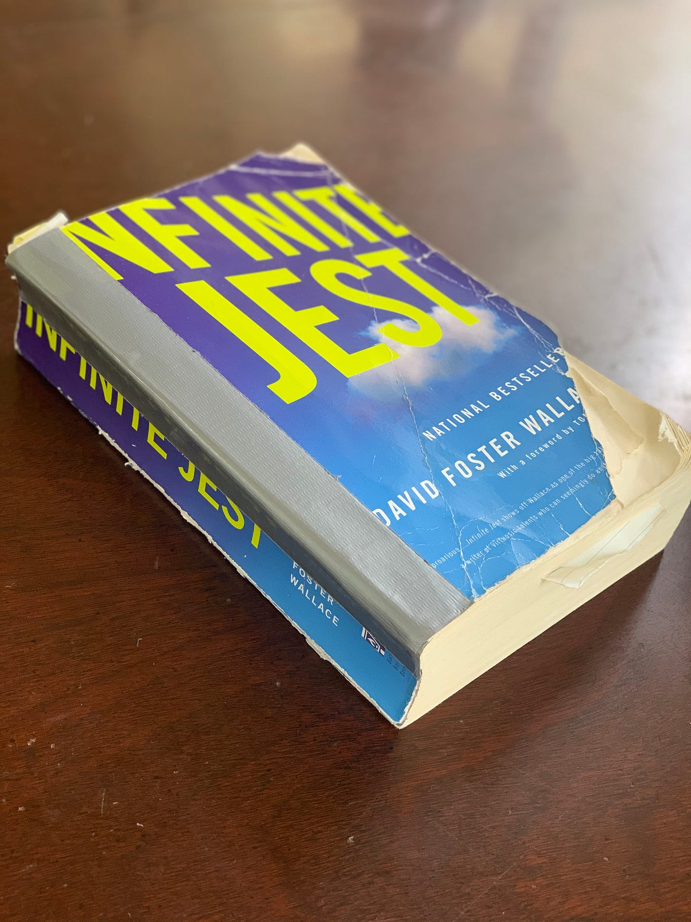The Woman Within Wallace's Lit Bro Bible, Infinite Jest, by Joan Kennedy
