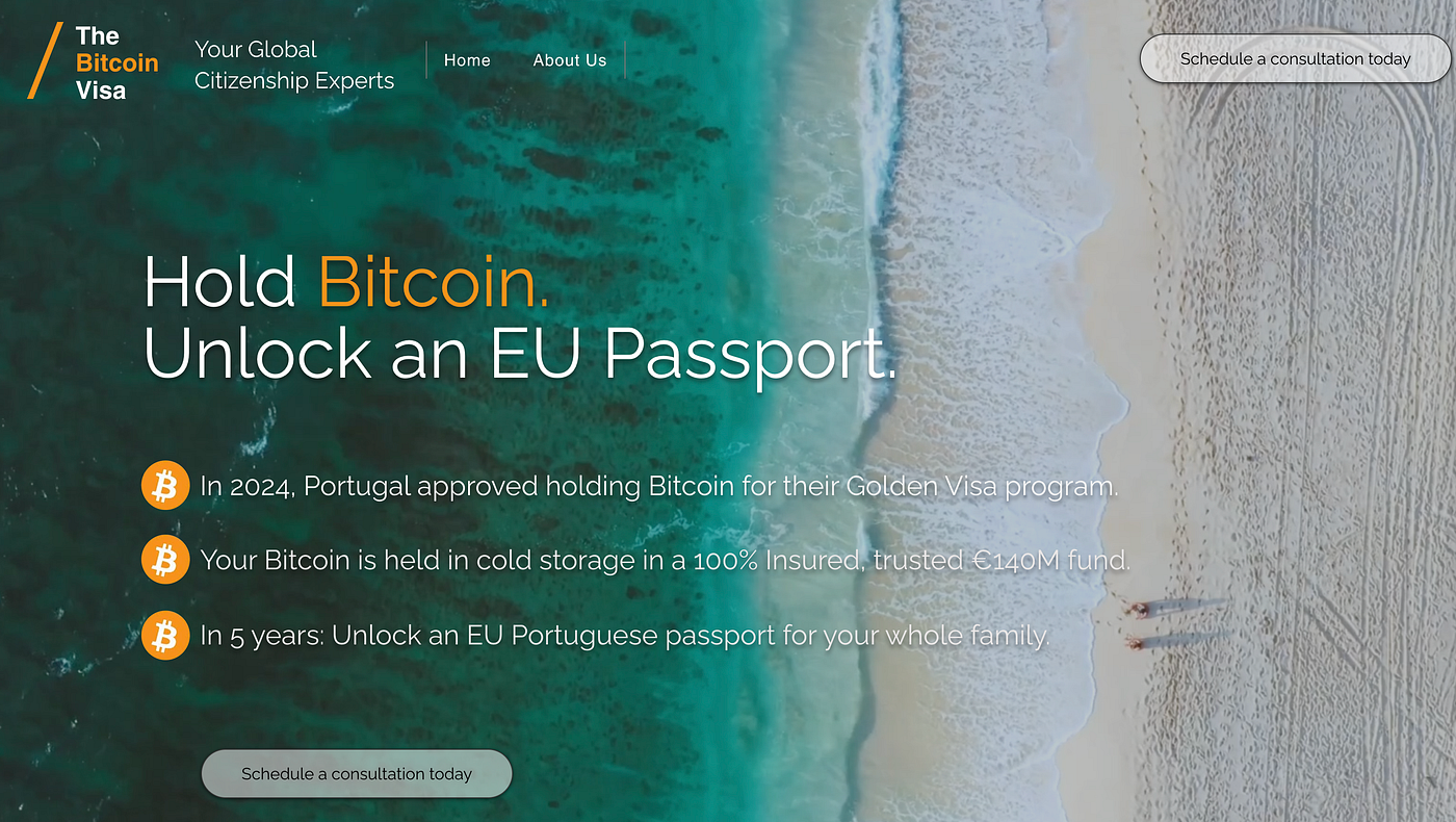 The Bitcoin Visa: Redefining Global Mobility by Holding Bitcoin | by The  Bitcoin Visa | Medium
