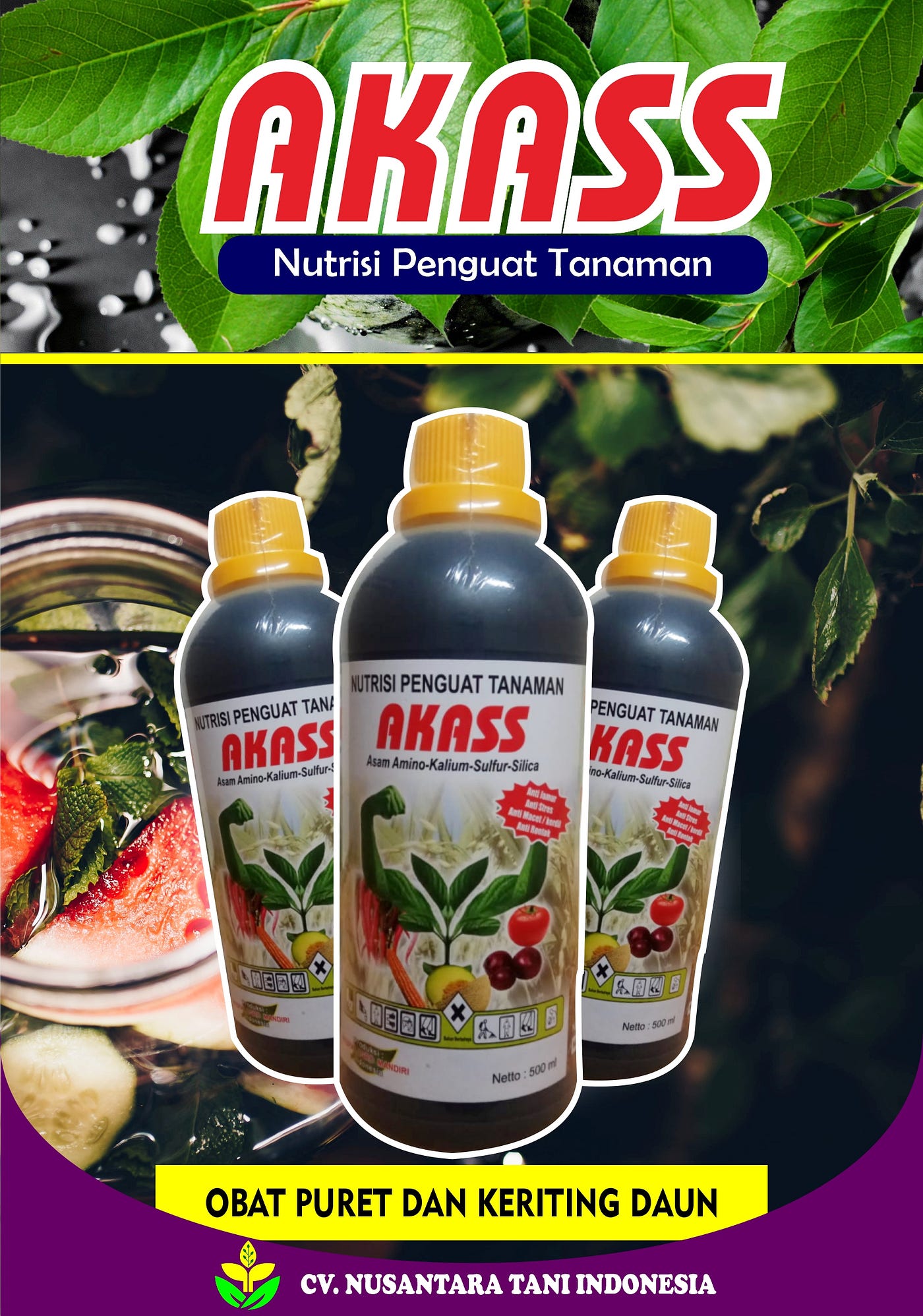 SEDIA SUPLEMEN ANTI PURET TANAMAN CABAI AKASS DI TULUNGAGUNG — WA 0812 3439 5123