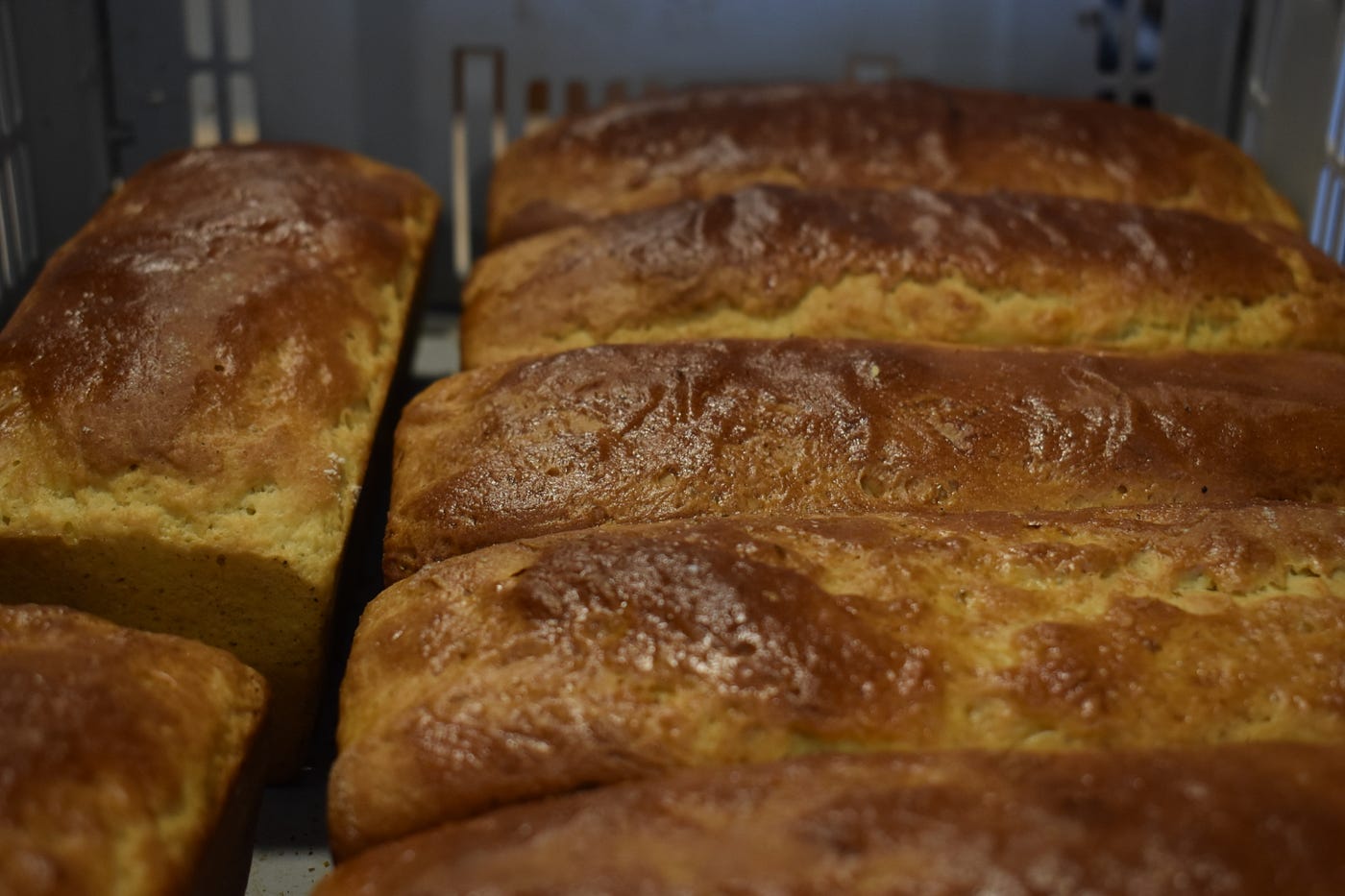 Les brioche de la ferme m’ont réconcilliée avec le gluten ! Je les digère plutôt bien. Sûrement la conséquence de l’utilisation de variétés rustiques de blé (à chaîne de gluten plus courte) + la fermentation longue + l’utilisation d’eau osmosée.