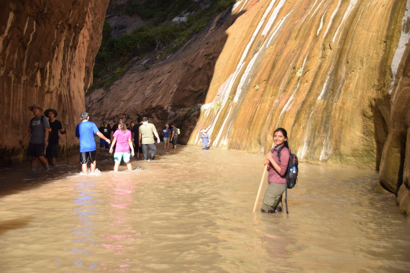 Travelogue #2: Zion National Park, Utah | by Anusha Prasad | Medium