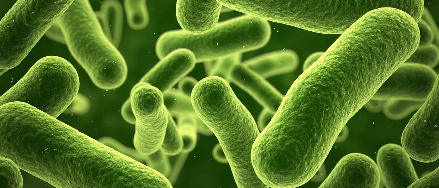 Biocides Market Size, Share Growth and Insights 2032